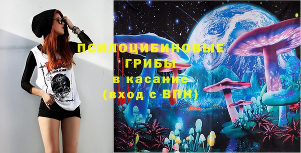 дживик Бородино