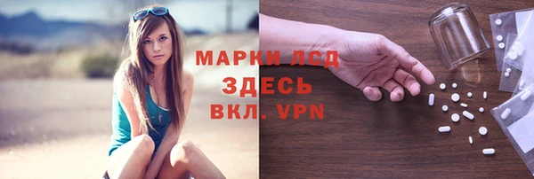 дживик Бородино