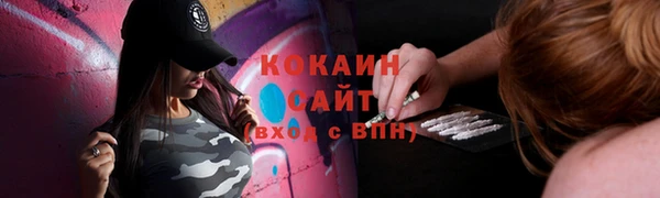 соль ск Бронницы