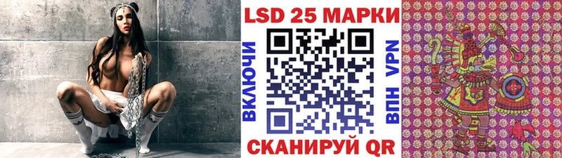 дарнет шоп  Кедровый  Марки N-bome 1,5мг 
