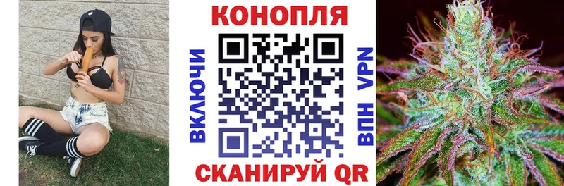 Конопля Amnesia  Кедровый 